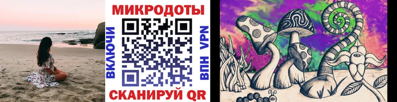 Псилоцибиновые грибы Psilocybe  купить наркотики сайты  Жирновск 