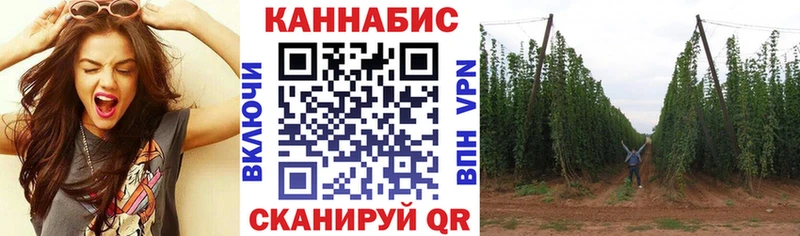 Бошки марихуана Ganja Жирновск